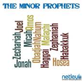  The Minor Prophets 